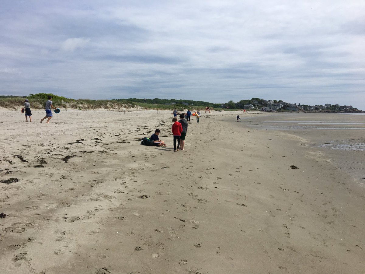 MrFrank5F's tweet photo. We’re here! #PapaBear brought his beach hat. #LundWatch https://t.co/usztidDq3r