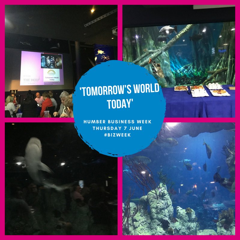 East_Riding's tweet image. We attended  #BizWeek Tomorrow’s World Today seminar @thedeephull . Technology is a key driver of innovation in an always connected data driven world! Have you checked if you can upgrade your standard broadband to #gosuperfast? 
socsi.in/9dDy7 #HumberBusinessWeek 📱 🐟