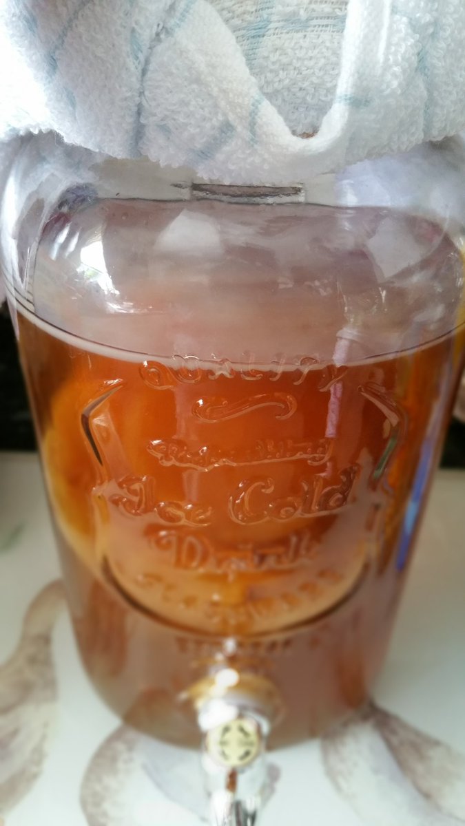 thevegansnuts's tweet image. Day 5 of my 2nd batch of kombucha😊 a lovely big Mama scoby has taken over the surface.This time I used both green and black tea. I'll try it later. Should be ready for the second fermentation on Saturday💞 so happy I can make my own now. #kombucha #Vegan #fermentedtea #probiotic