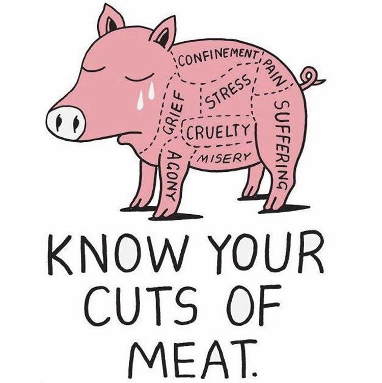 TheHumaneLeague's tweet photo. Not your life to take. https://t.co/2rXuprASjc