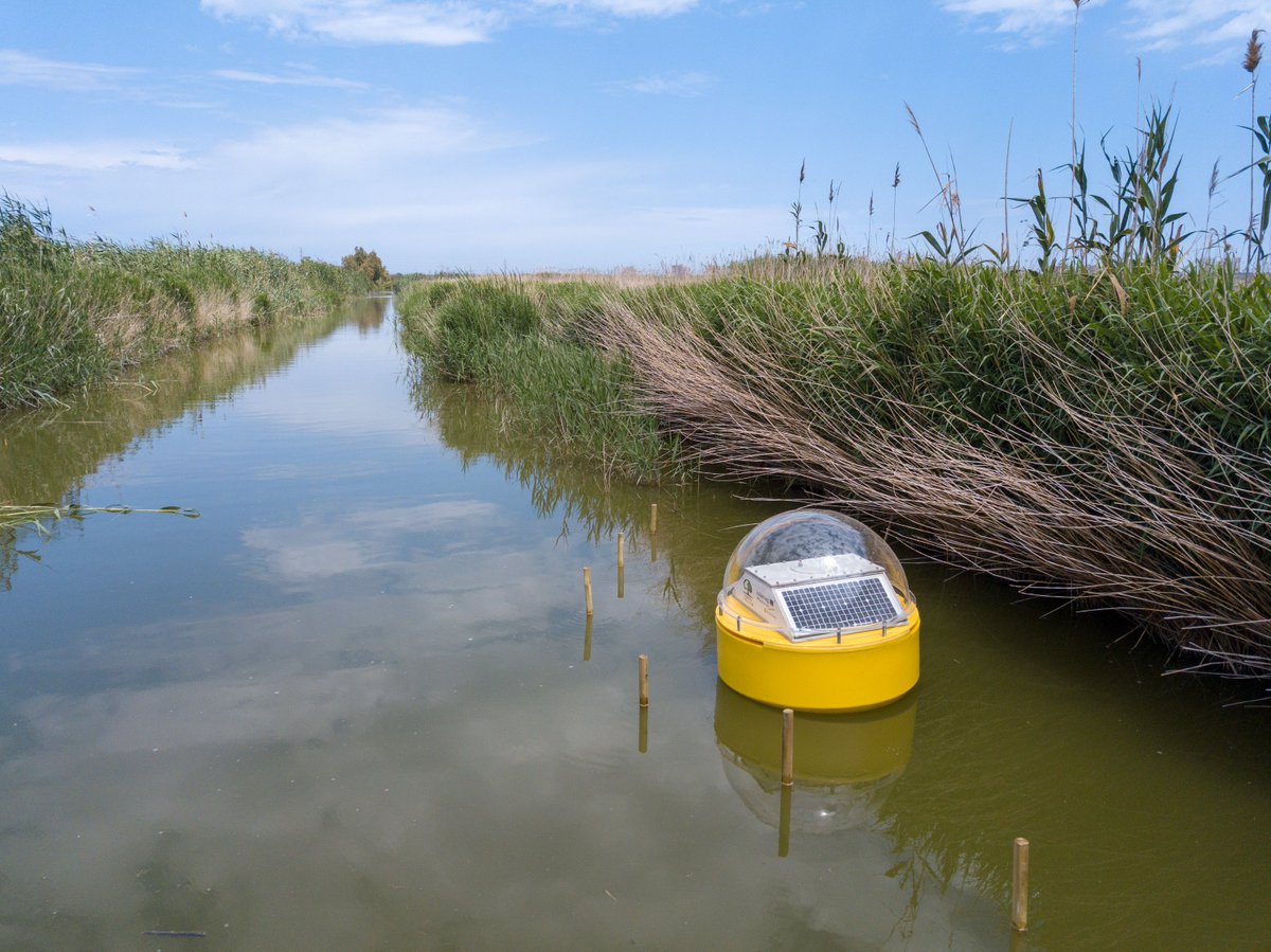 FGlobalNature's tweet photo. @elperiodic "Un sistema de medición a tiempo real monitorizará el agua💧de l'Albufera" https://t.co/xPipSFQWda  FGN, socia del proyecto #EcoSustain, aplicará un sistema de medición 🔎en continuo para evaluar el impacto del Tancat de la Pipa en el lago de l'Albufera https://t.co/hQpeDXGLkh