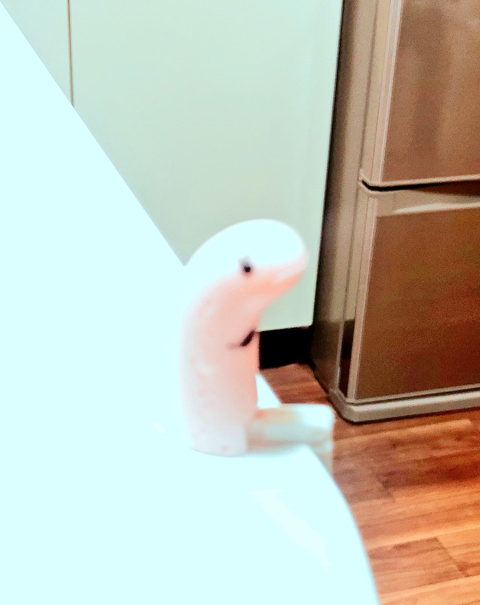 吉田愛梨 Sur Twitter くら寿司でお皿入れると出てくるガチャガチャでもらった かわいすぎませんか 目の離れ具合といい 顔がイモリみたい 名前は チンアナ子さんだって くら寿司 ガチャ チンアナゴ 黄昏のギョジン 吉田愛梨 Sur Twitter くら寿司でお皿入れると出てくるガチャガチャでもらった かわいすぎませんか 目の離れ具合といい 顔がイモリみたい 名前は チンアナ子さんだって くら寿司 ガチャ チンアナゴ 黄昏のギョジン
