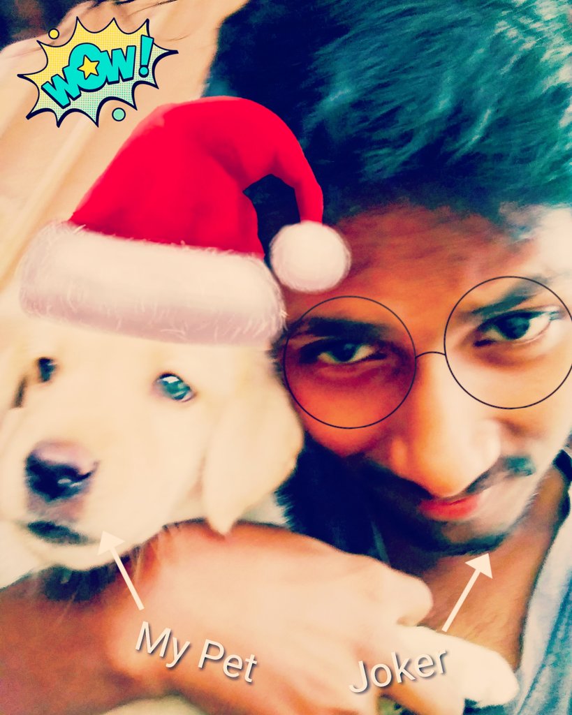 jokermaran's tweet photo. #my_dog and #my_name_joker https://t.co/0jKCOrK0YZ
