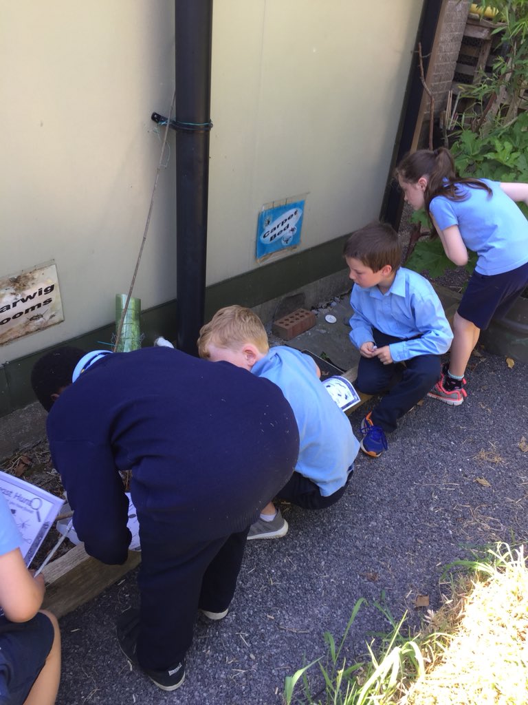 rang2slane's tweet photo. Minibeast hunt https://t.co/SZEWegsV98