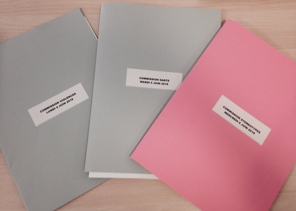HCEfh's tweet photo. #DirectHCE Semaine de réunions des commissions du @HCEfh sur les prochains rapports :
📙Évaluation du 5è plan de mobilisation et de lutte contre les violences faites aux femmes
📕Actes sexistes durant le suivi gynécologique et obstétrical
📘État des lieux du sexisme en France https://t.co/Jt0QbvRGR1