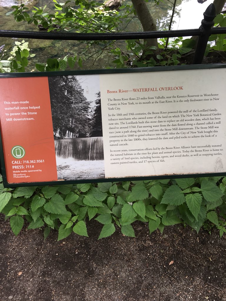 Megan Fullam tweet media