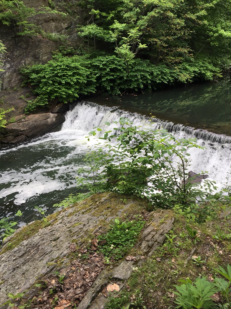 Megan Fullam tweet media