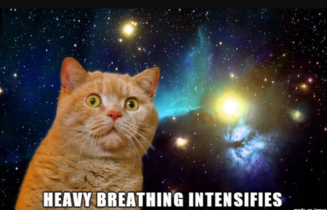 Hilda_winenot's tweet image. Can't quite believe @junction_2 is nearly upon us #Junction2 #festival #fastlife #landedrunning #Goodtimes