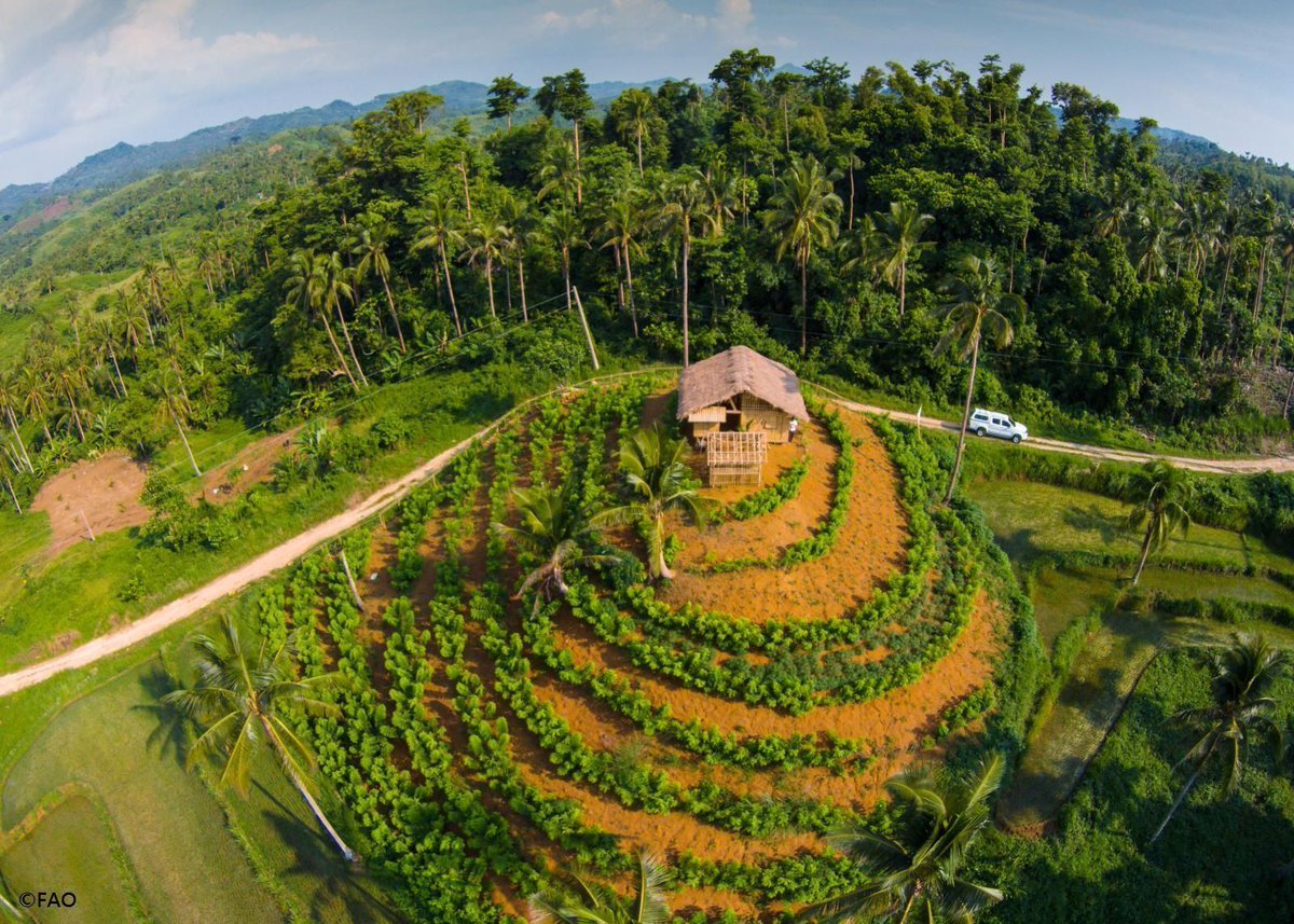 🌱Desde las raíces de la agricultura y la alimentación sostenibles podemos obtener los frutos del cambio que necesitamos.

La FAO propone un conjunto acciones interconectadas para acelerar el logro de los #ObjetivosDeDesarrolloSostenible 👉bit.ly/2JqWlqG 

#CL159 #ODS