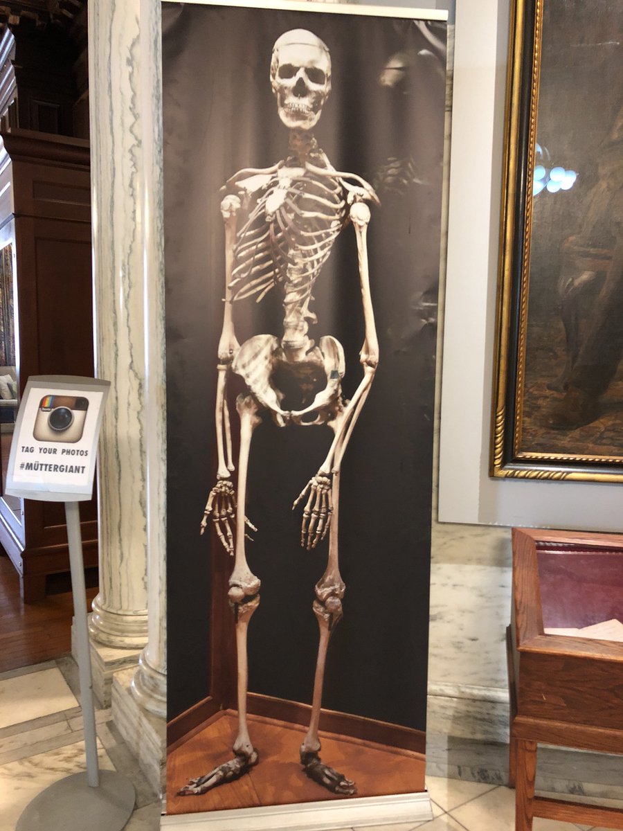Gil_Bashe's tweet photo. When you love science and medicine (and mysteries), a visit to #Philly requires a pop-in at the #MutterMuseum and #MUTTERGIANT https://t.co/rqk7NLj0AB