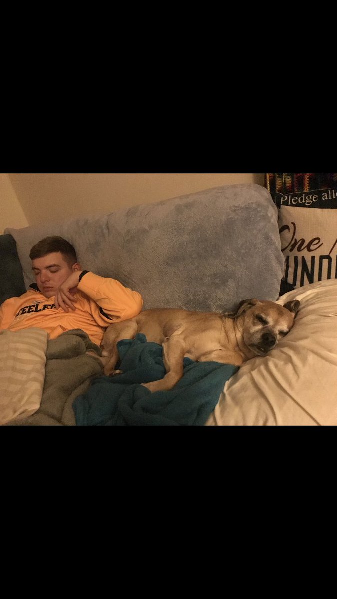 MadisonNielson's tweet photo. Rest In Peace old buddy. Saying goodbye over FaceTime this morning was one of the hardest things ever. https://t.co/97q7oB2gO1