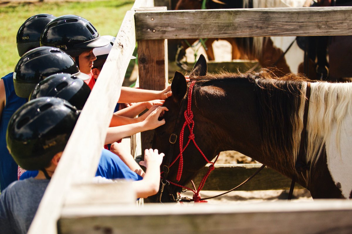 WE HAVE EXCITING NEWS! 📣 We are just DAYS away from week one of KIDS CAMP! If you haven’t already, register your child for the best week of their summer RIGHT NOW! #allasoranch 🚴‍♂️🏊‍♂️🚣‍♀️🤸‍♀️🎉 [fcsummercamp.com]