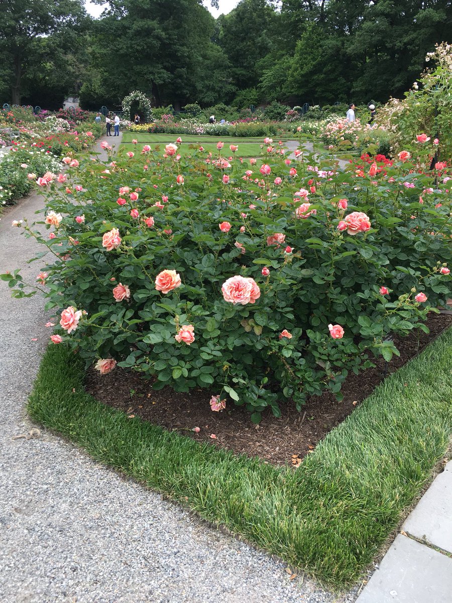 Megan Fullam tweet media