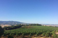ConsBrunello's tweet photo. Fondazione Territoriale #Brunello di #Montalcino: un primo bilancio e i prossimi obiettivi per l'immediato #futuro #wine https://t.co/hg03nOToCy https://t.co/Pjwer6WenX