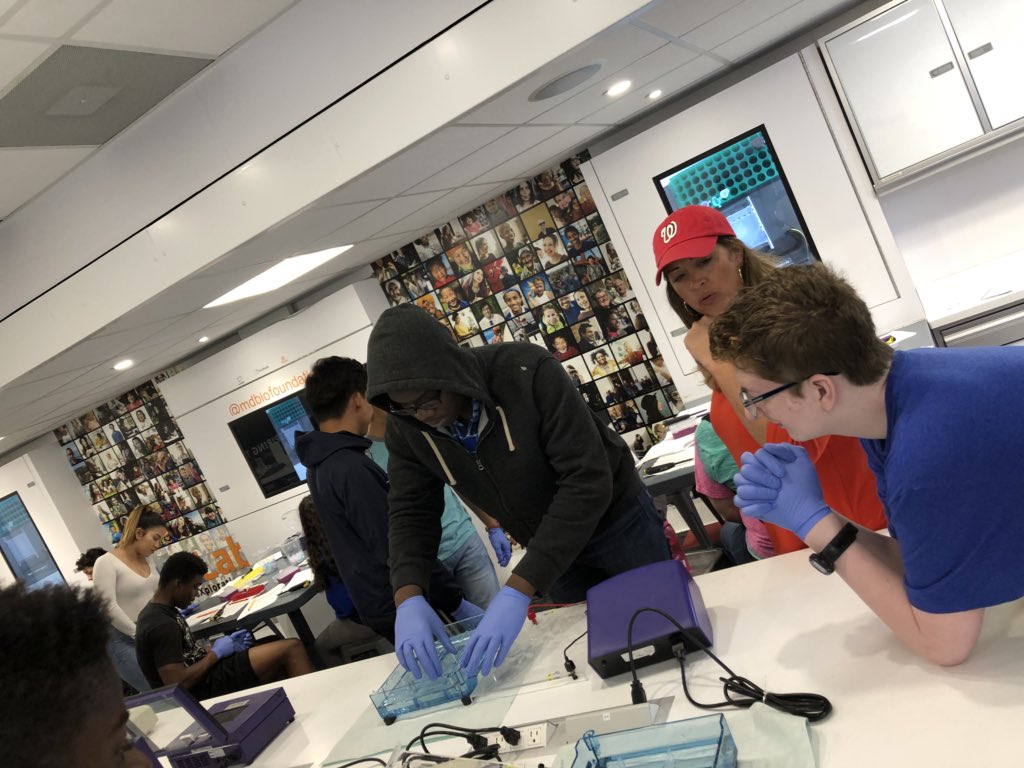 briangaines's tweet photo. Hey that’s @MdBioJoe leading one of his last classes of the school year. Working alongside the awesome  Ms Davis-Vaughan @msdvWMHS.  @WatkinsMillHS @MCPS #STEMLegend @MdBioFoundation https://t.co/t6PaFPPDRM