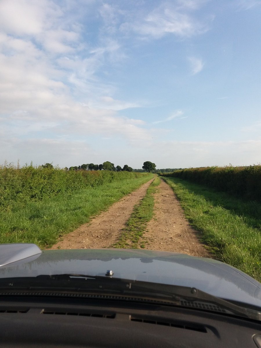 trentlaneshoot's tweet photo. Lets play spot the Roe!!?? https://t.co/TecwUcmyFv