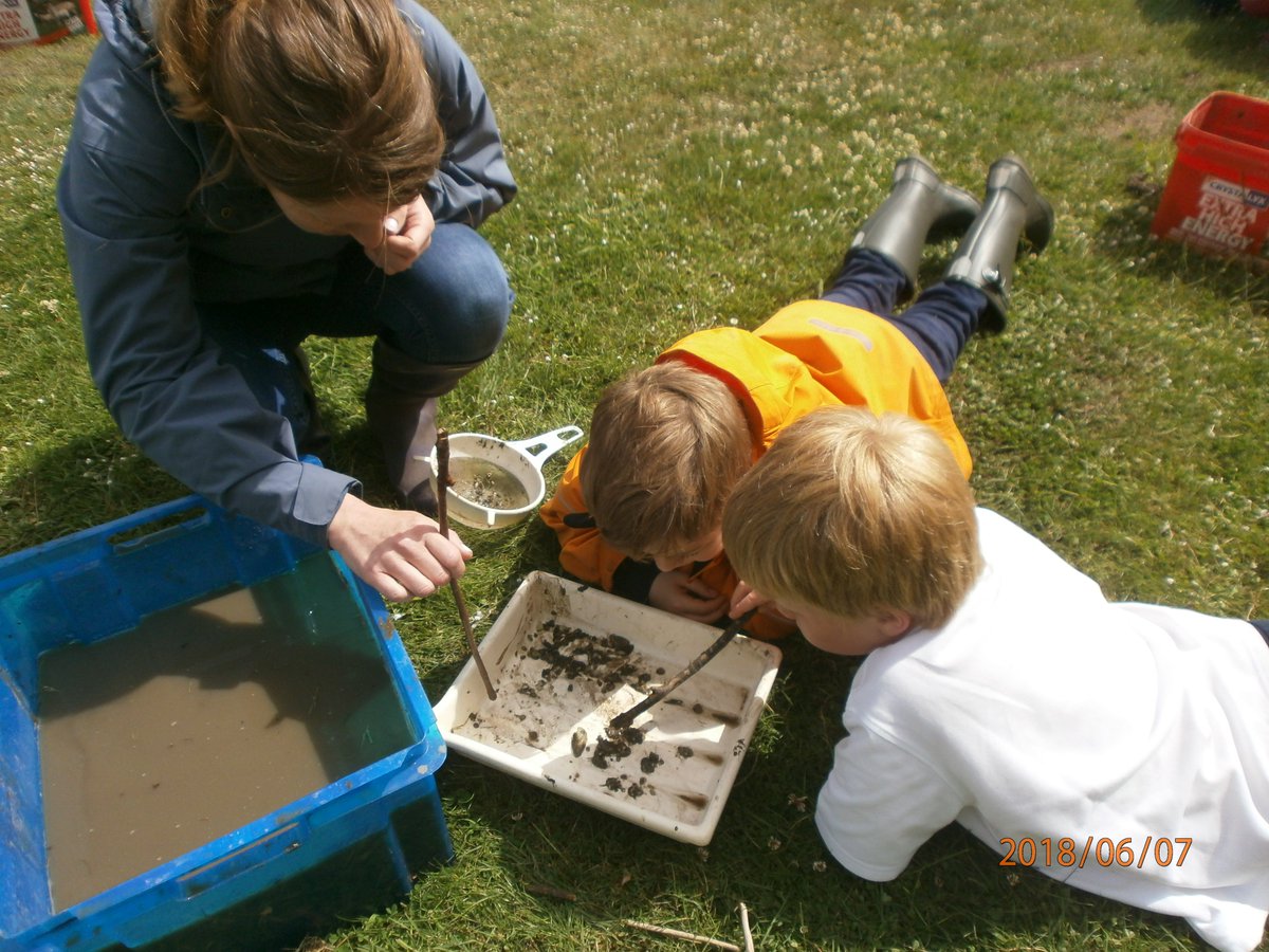 AberladyP2's tweet photo. We had a wonderful morning visiting Aberlady Bay with John Harrison, Ranger, learning about our local landscape and finding lots of creatures that live in the mud flats and salt marshes. Huge thank you to John and to all our parent helpers. Everyone agreed they had had great fun. https://t.co/Au0pn9Dpkh