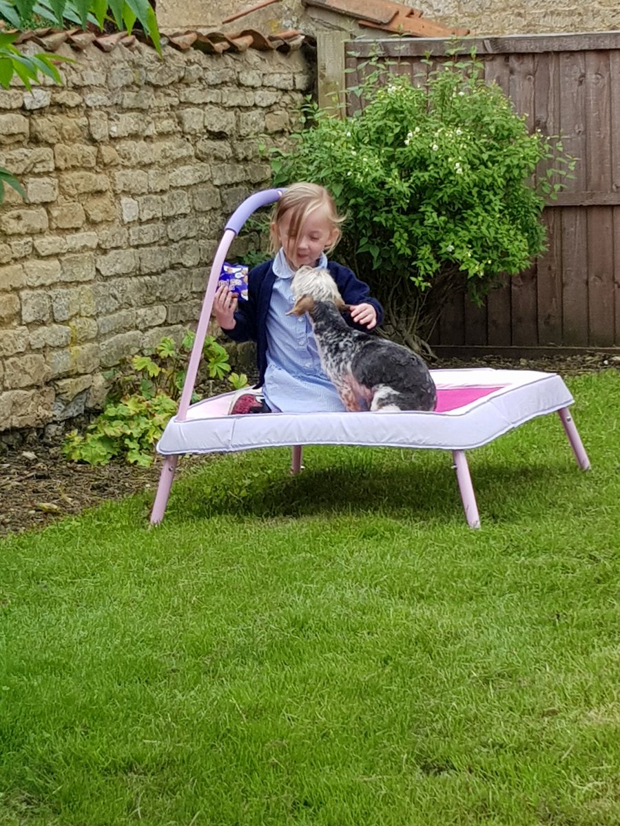 andyjread's tweet image. Afternoon people!! Ella has her own little raised garden area in the new gaff, she loves it!! #Newhome #ReadHouse #EllasGarden