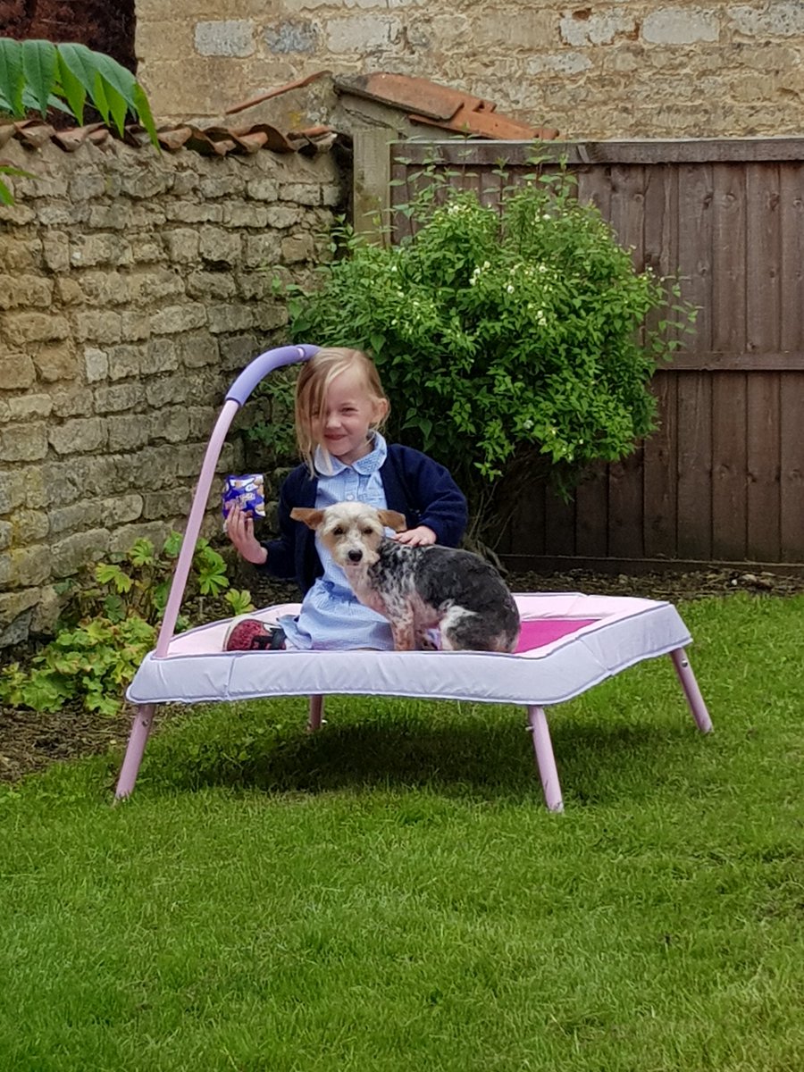 andyjread's tweet image. Afternoon people!! Ella has her own little raised garden area in the new gaff, she loves it!! #Newhome #ReadHouse #EllasGarden