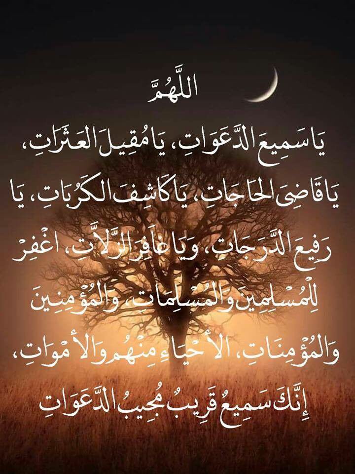 fatamy38UAE's tweet photo. https://t.co/3YgTvARLb6