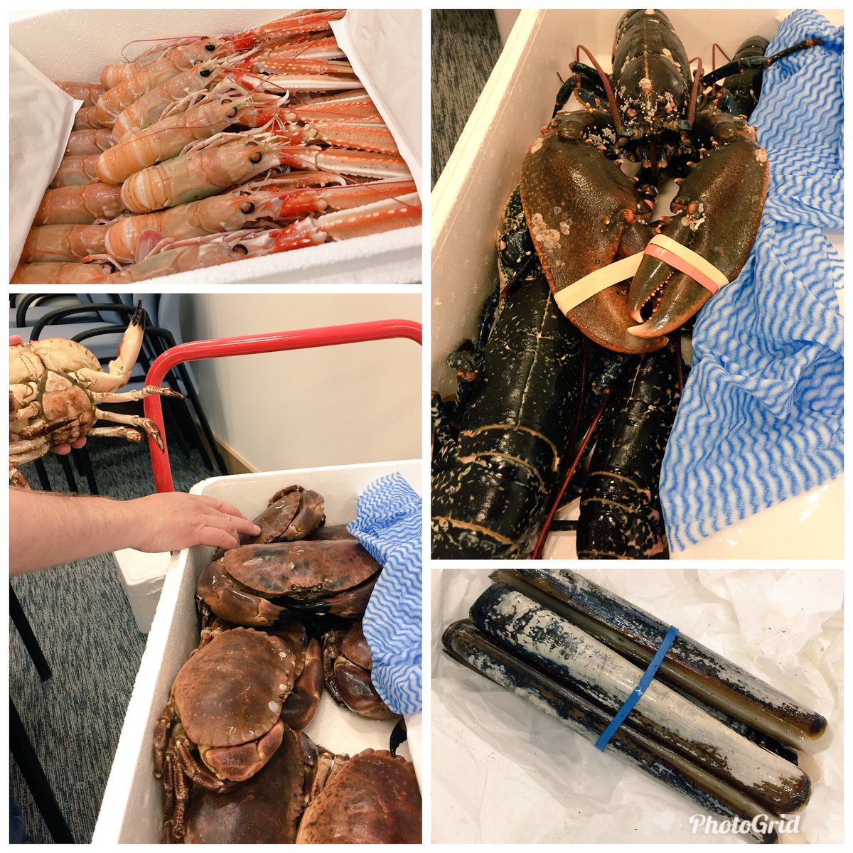 Ali_S_T_Ali's tweet photo. Busy day 1 at @HIEScotland office in #Inverness. Presenting on #food &amp; #drink opportunities &amp; providing advice on exporting to #UAE #SaudiArabia #MiddleEast. Massive opportunities in this region for #Scottish companies to go after! @scotfooddrink @SeafoodScotland @ScottishBakers https://t.co/Yad4XJwf8x