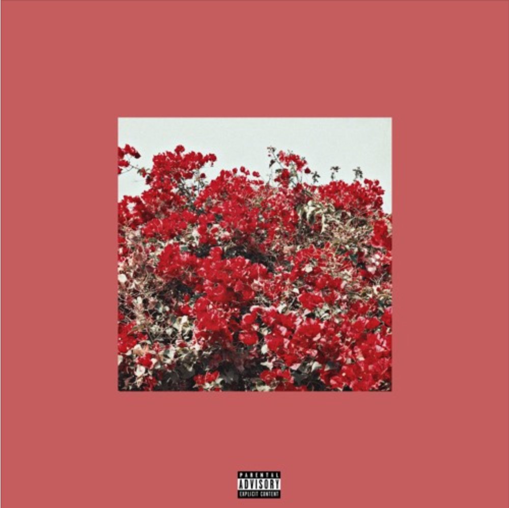 HHHFix's tweet photo. (#DigitalDigging .@ihateyoualx "Blossom" is an attention grabber) via Houston Hip Hop Fix - https://t.co/2UocbCnwYT https://t.co/pDYUo5QoqJ