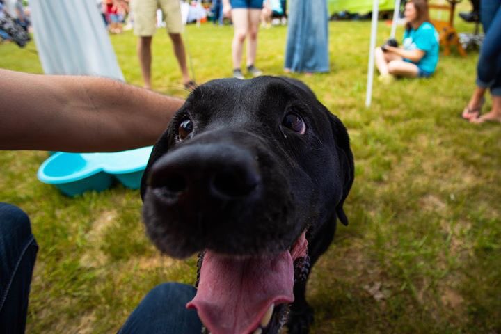 Round Barn On Twitter We Had Dog Gone Good Time With Our Local