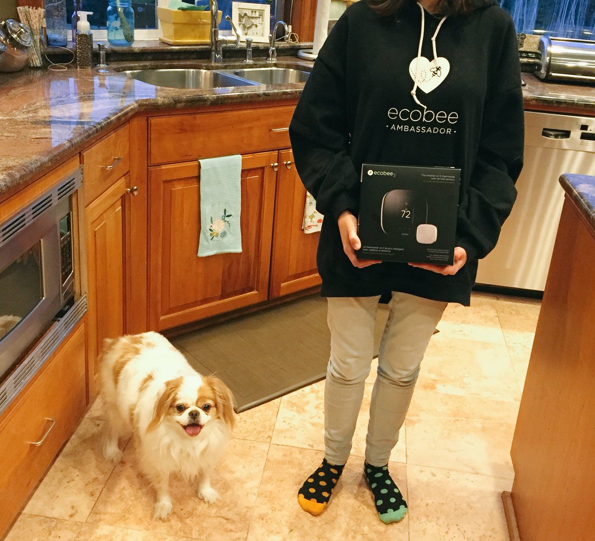 sjjenkins's tweet image. Daughter gets randomly assigned “Smart Thermostats” as a 10th grade science report on environment-friendly products. Took an ecobee t-stat to school, then rocked the @ecobee gear... and the report! #yeahscience @stu_lombard