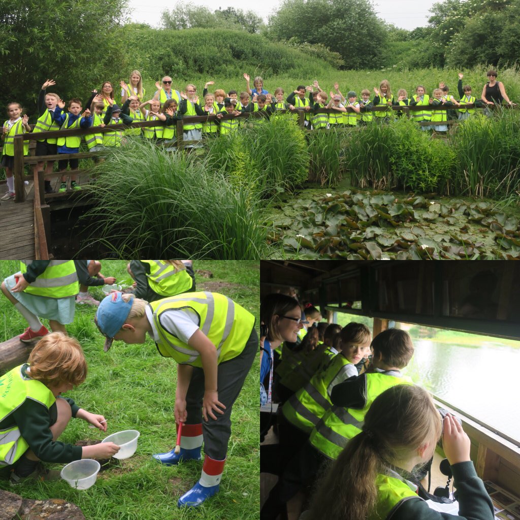 A great day was had by all in <a href="/IC_Rowan/">Rowan Class</a> at Rye Mead RSPB nature reserve! Pond dipping, looking for mini beasts and bird watching!