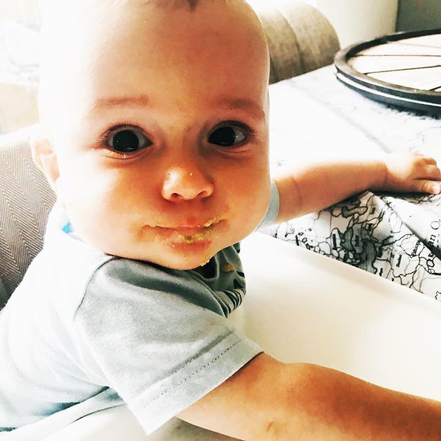 KimDebling's tweet photo. Harv smashed down the avocado today. #middleclassbaby #mandsbaby #acocado. #weaning #babyboy https://t.co/62tInkSrLi https://t.co/IJtozStZjg