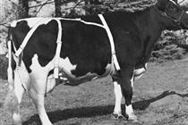 Chad_Lapp's tweet photo. @vaderbogger pretty funny......but My grandfather manufactured udder supports for cows and goats for years!  a real thing, been around since the 40's.  https://t.co/OK2DWssAEY https://t.co/grXcqZES9O