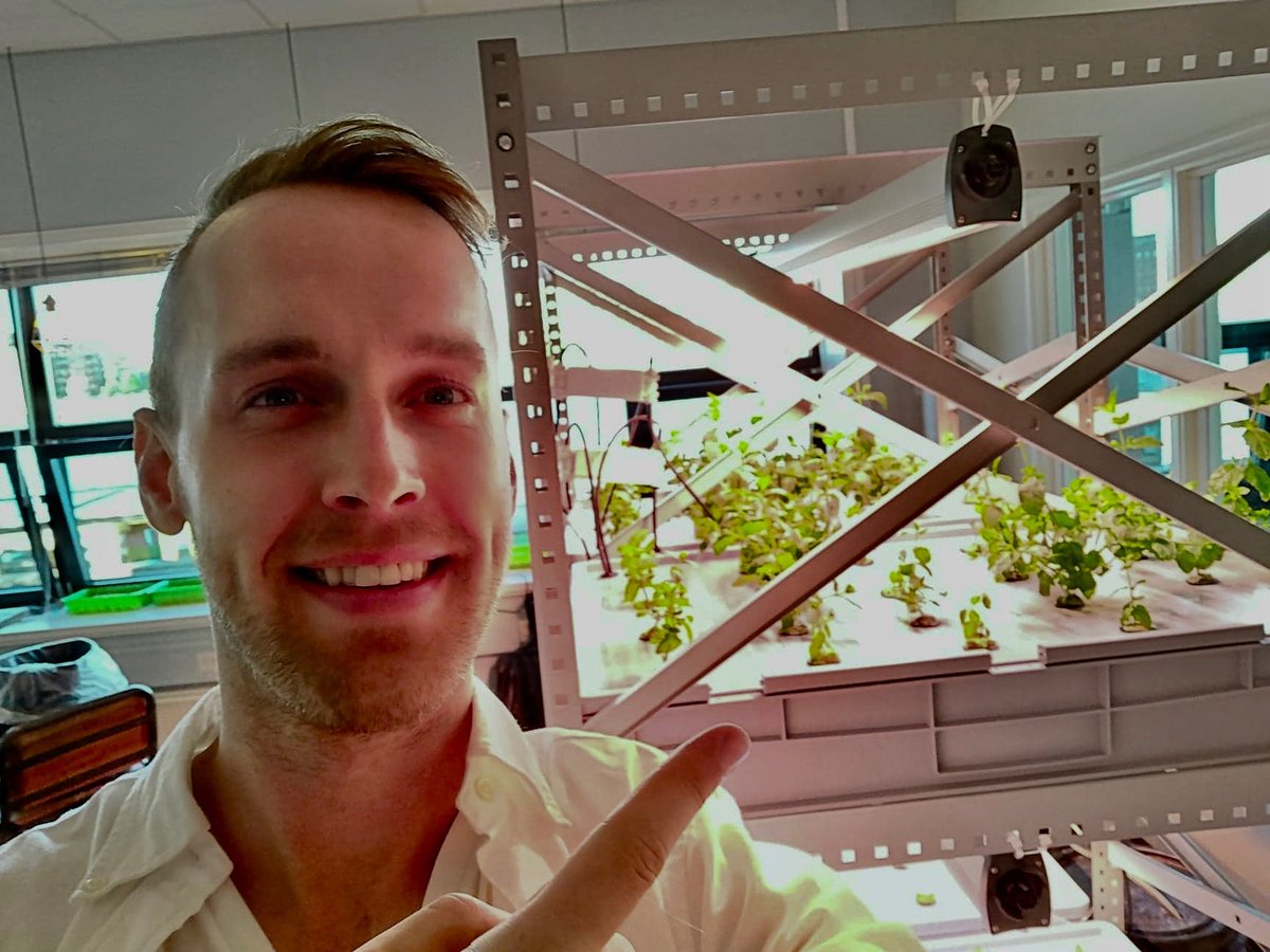 Just tried broccoli grown in a hamster cage at <a href="/Growstack_org/">GROWSTACK</a>'s event #VerticalWednesday w/ @ArgonautAntwerp. Imagine a future where all the hipster baristas makes coffee out of beans grown in a closet