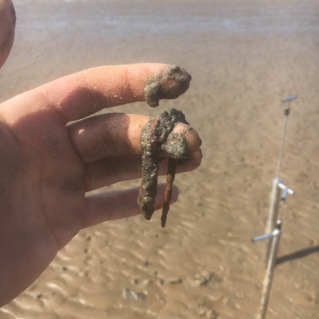 MudflatMatt's tweet photo. Mudflat sampling and lugworm pumping - Day 7 of #30dayswild https://t.co/0qjZbQzKq7