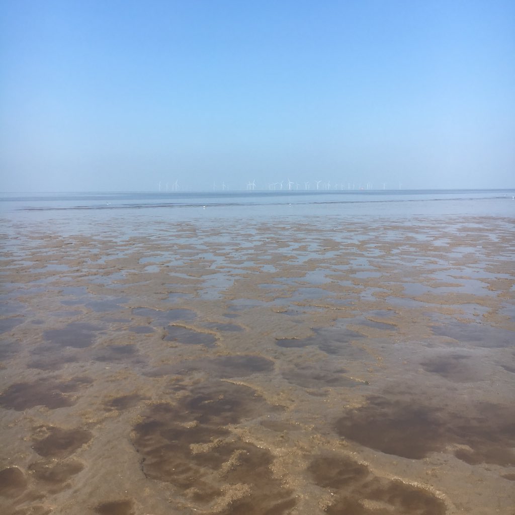 MudflatMatt's tweet photo. Mudflat sampling and lugworm pumping - Day 7 of #30dayswild https://t.co/0qjZbQzKq7