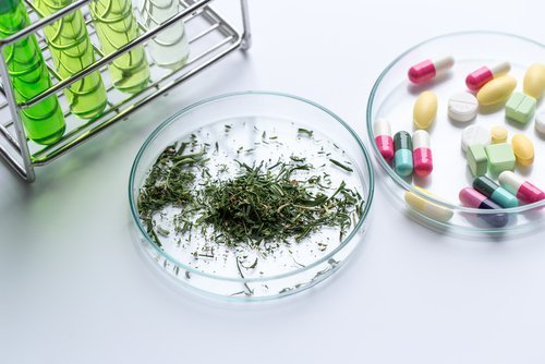MSNewsToday's tweet photo. New Post: #CMSC2018 – Pharmacist Discusses Advances, Challenges in Cannabinoids Research to Treat MS https://t.co/loyE4Uhtid https://t.co/Dq6X8lZgEL