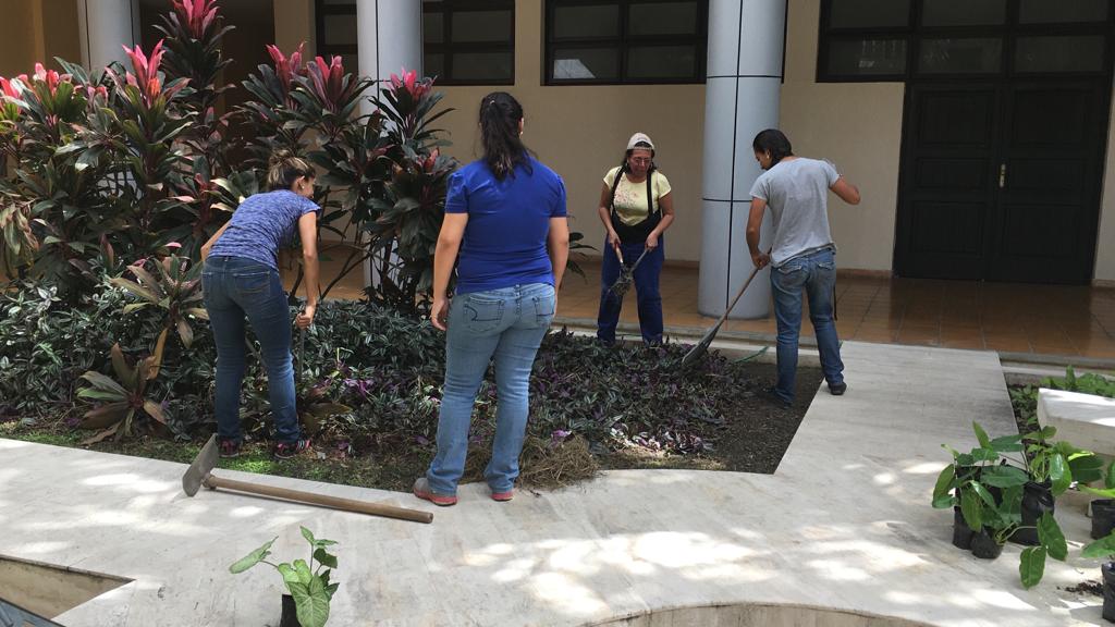#Ahora Estudiantes de la Facultad Ingeniería Civil y Química de la <a href="/UCarabobo/">Universidad de Carabobo</a>, realizan mantenimiento de jardines y espacios abiertos del <a href="/cihcpuc/">CIHCPUC</a>, como parte del cumplimiento de su Servicio Comunitario #LeeTiempoUC