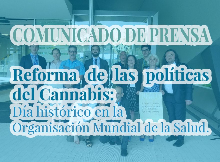 Acontecimientos históricos en la Organización Mundial de la Salud: evaluación científica del #Cannabis por primera vez en la historia. Comunicado de prensa: faaat.net/do-tank-es/ecd…