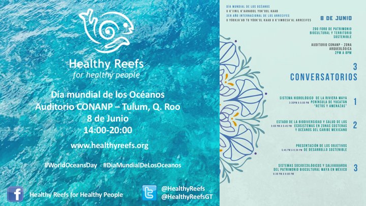 Mañana los esperamos para celebrar el #DiaMundialDeLosOceanos en 2 sedes: #PlayadelCarmen y #Tulum, en eventos organizados por diferentes organizaciones de la sociedad civil, gobierno y sector privado.

Los esperamos!

#WorldOceansDay
#EarthOptimism2018
#IYOR2018
#OceanOptimism