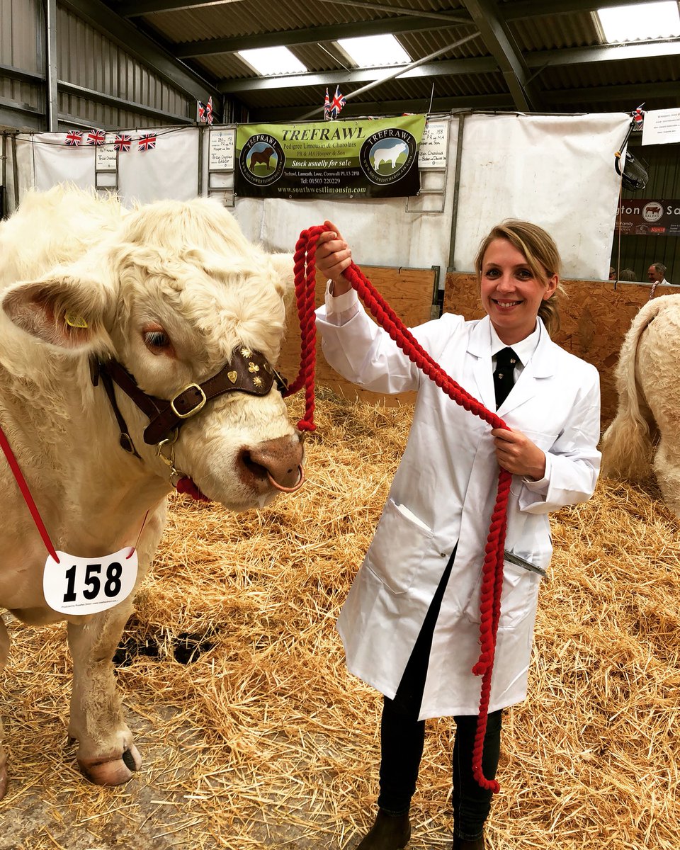 NicolaCattini's tweet photo. Me and my mate Merlin @RoyalCornwall #stockbull #showbull #charolaiscattle #RoyalCornwallShow https://t.co/VFxnudhLwi