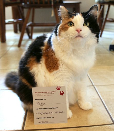 AmyRichter84's tweet photo. Just treated my pet thanks to the #KrogerCo! #ForYourPets #MyMagazineSharing #FreeSamp https://t.co/CFj0LZwW8J https://t.co/ug2UXdmFnz