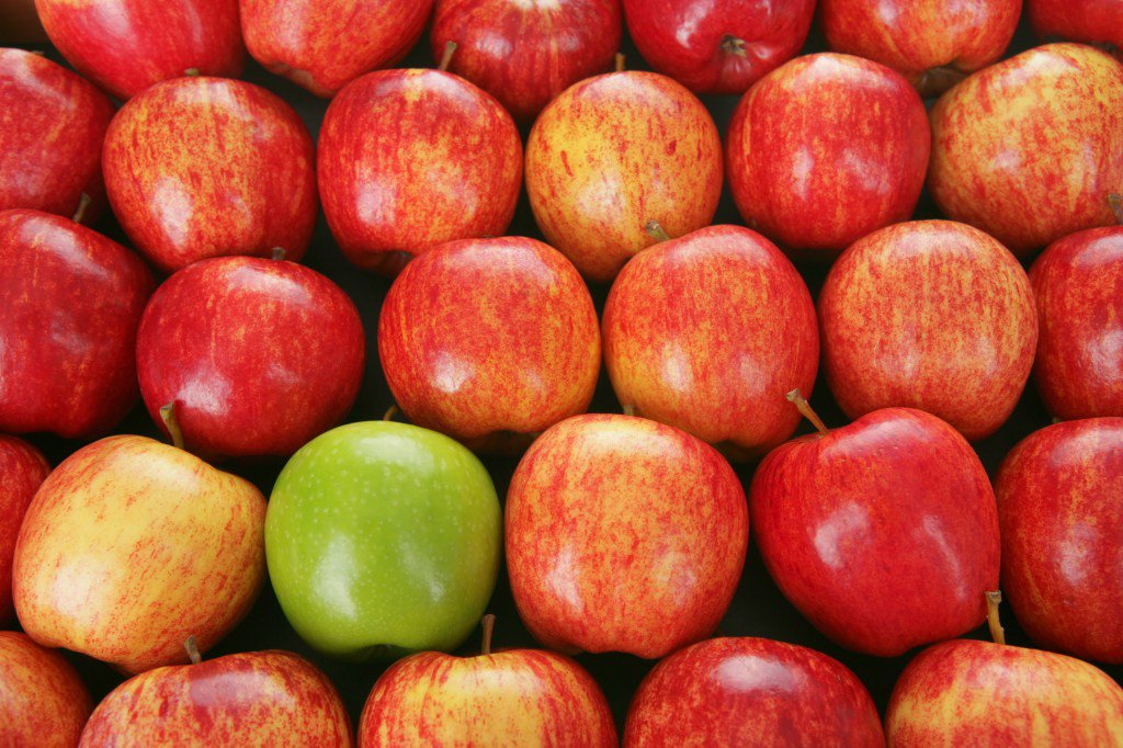 AgFunder's tweet photo. 2 Disruptive AgriFood Tech Startups Face Industry Backlash https://t.co/rMjMVMS6m5 https://t.co/CdfE1swAxE