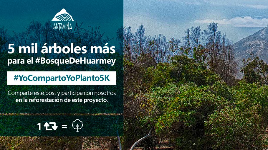 Antamina_Peru's tweet image. ¡5 mil árboles más para el #BosqueDeHuarmey! Queremos que tú y otras 4,999 personas sean partícipes de nuestra campaña #YoCompartoYoPlanto5K. Por cada compartido nos comprometemos a entregar un árbol para Huarmey. ¡Ya tenemos 177 hectáreas sembradas!