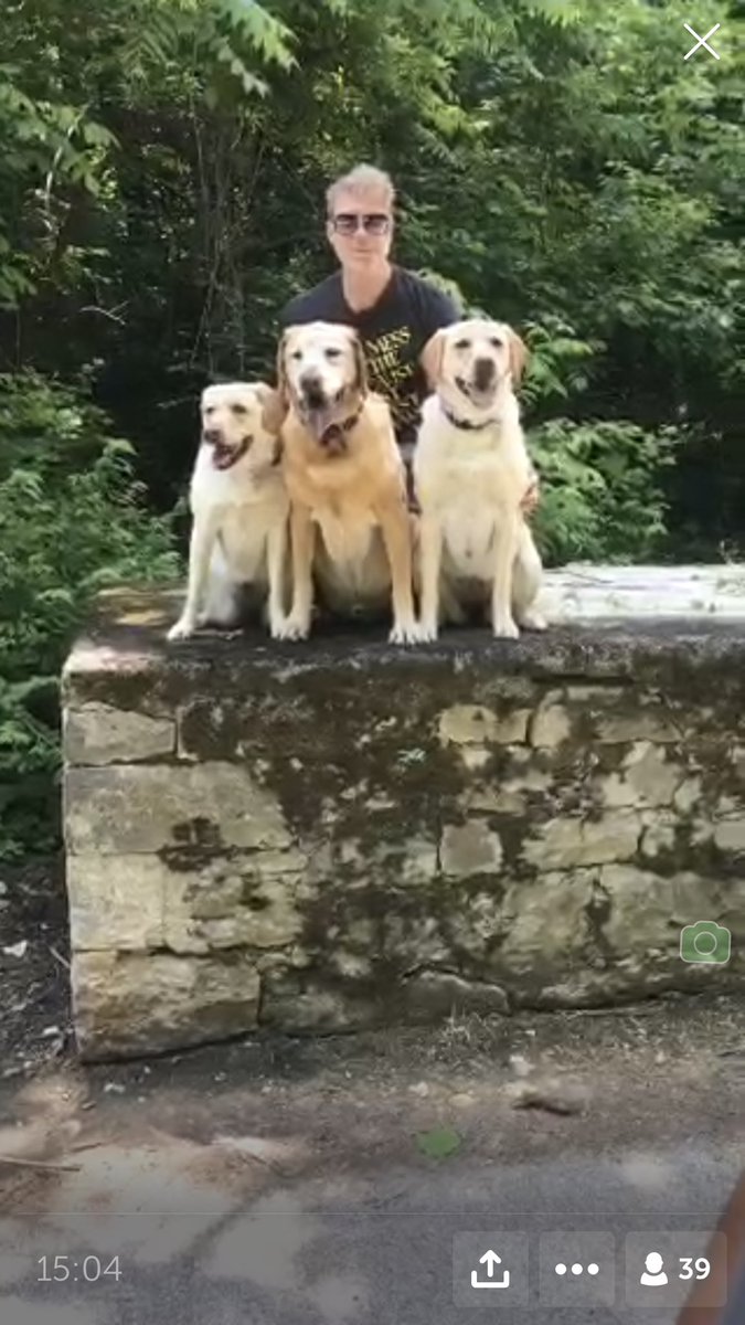 NancyProvenzan1's tweet photo. @CHAZDEAN The Angels love when daddy goes walking with them. #Chaz #Hunter #Riley #Bella. #walk #timewithdaddy β€οΈπππ https://t.co/SsQ0xMrMht