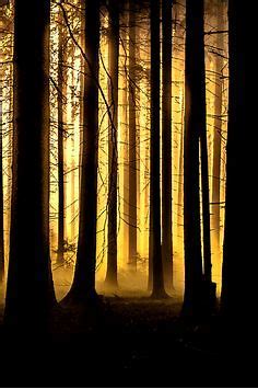 da13thsun™ tweet media