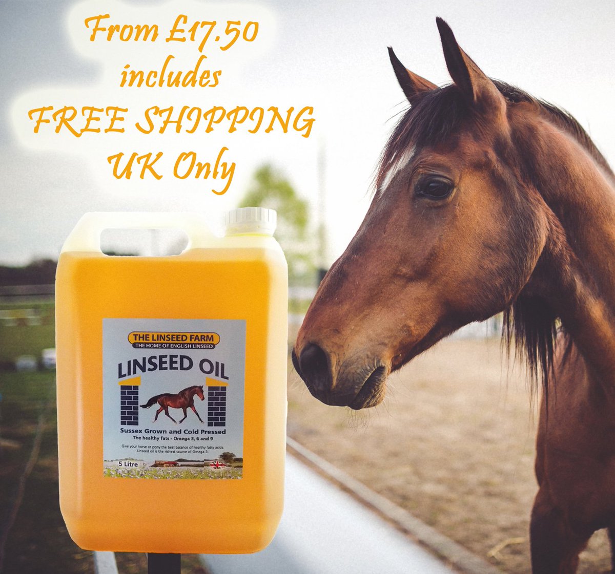 Our cold-pressed, rich in omega 3 linseed oil is a favourite with horses (and dogs). Just add to feed!

thelinseedfarm.co.uk/buy/linseed-fl…