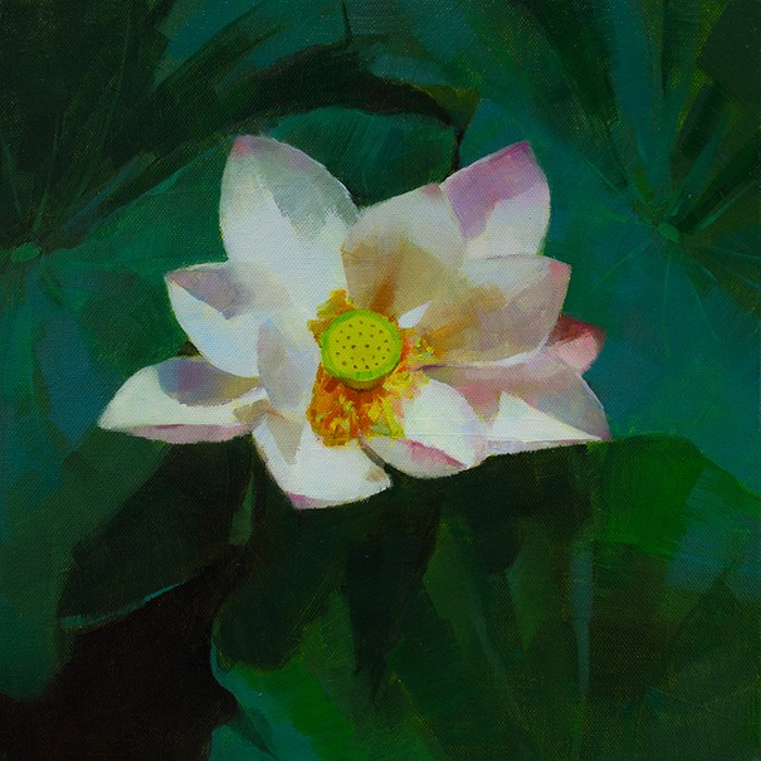carolinejiart's tweet photo. White Lotus
12 x 12 inches
Oil on canvas
2018

#fineart #oilpainting #canadianart #florals https://t.co/gwIccjUI3a