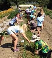 4-H Sustainable You! Camp for Ages 9-12 - June 25-29. LISTEN TO THE PODCAST  bit.ly/2sPovEv and REGISTER: harec.ucanr.edu