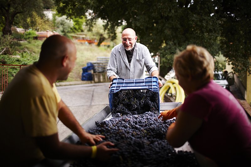 This night "Cena con un amico!"
BRUNO DE CONCILIIS

Join us for a fun evening of Bruno's wine paired with Donato's tasting menu of Campania cuisine.
He will taste us through some of the most extraordinary wines Campania has to offer. $98
donatoenoteca.com/bruno-de-conci…
call 650-701-1000