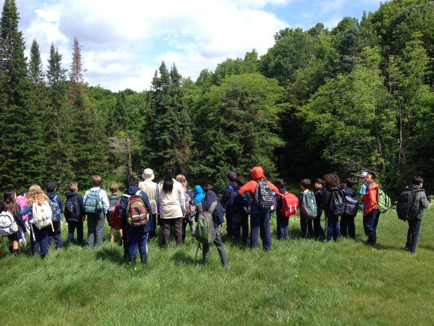 KellsMsSkinner's tweet photo. What a view! #arboretum #grade3/4 https://t.co/7HjTXyOnUJ
