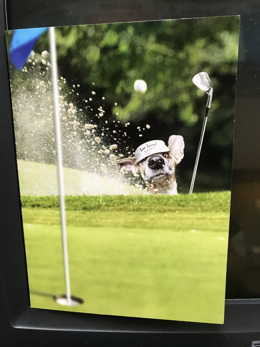 1851Ups's tweet photo. Baseball, bogeys, and beer. Come on down to the UPS store and get the perfect Father’s Day card #avanticards https://t.co/nPXPHv6lkC